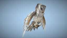 icon.jpg