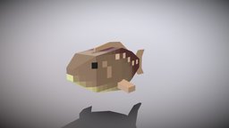 icon.jpg