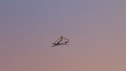 icon.jpg