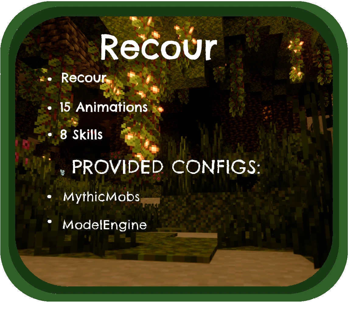 recour discription.png
