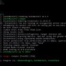Draining AdvancedLogin plugin (PIN GUI Login) working on version 1.16.2