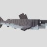 Tiger Shark