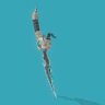 Skull Soul Dagger
