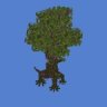 Ent