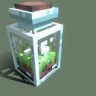 Jar Terrarium