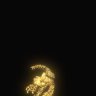 Dragon Fossil