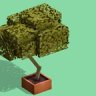 Low-Poly Bonsai-Tree