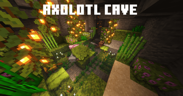 Axolotl cave